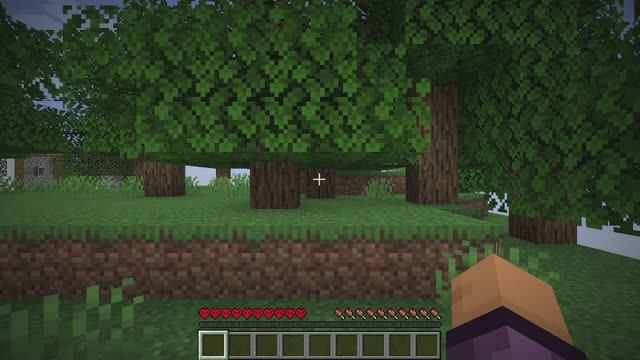 Minecraft Hardcore Survival