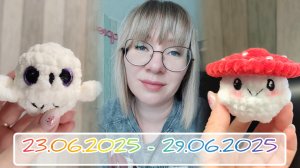 Вязальный дневник / вязовлог 23.06.2025-29.062025: МК на котика ✅, мухомор(?), книга и/или фильм 🤔