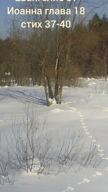 (76) Евангелие от Иоанна глава 18 стих 37-40 смотреть онлайн