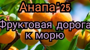 23 #АНАПА #ФРУКТЫ НА УЛИЦАХ АНАПЫ 29-06-2025