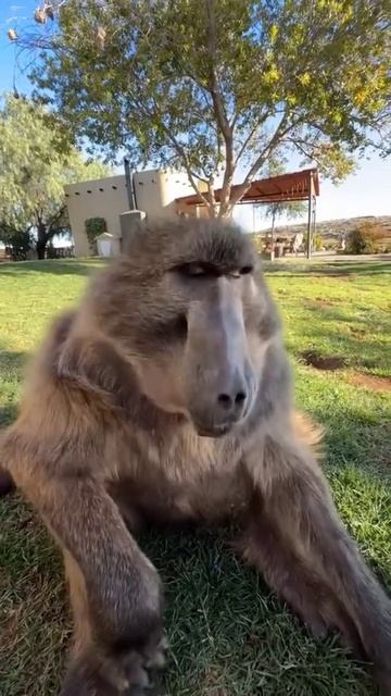 Звуки мужчин, когда им немного больше 30: смотреть онлайн