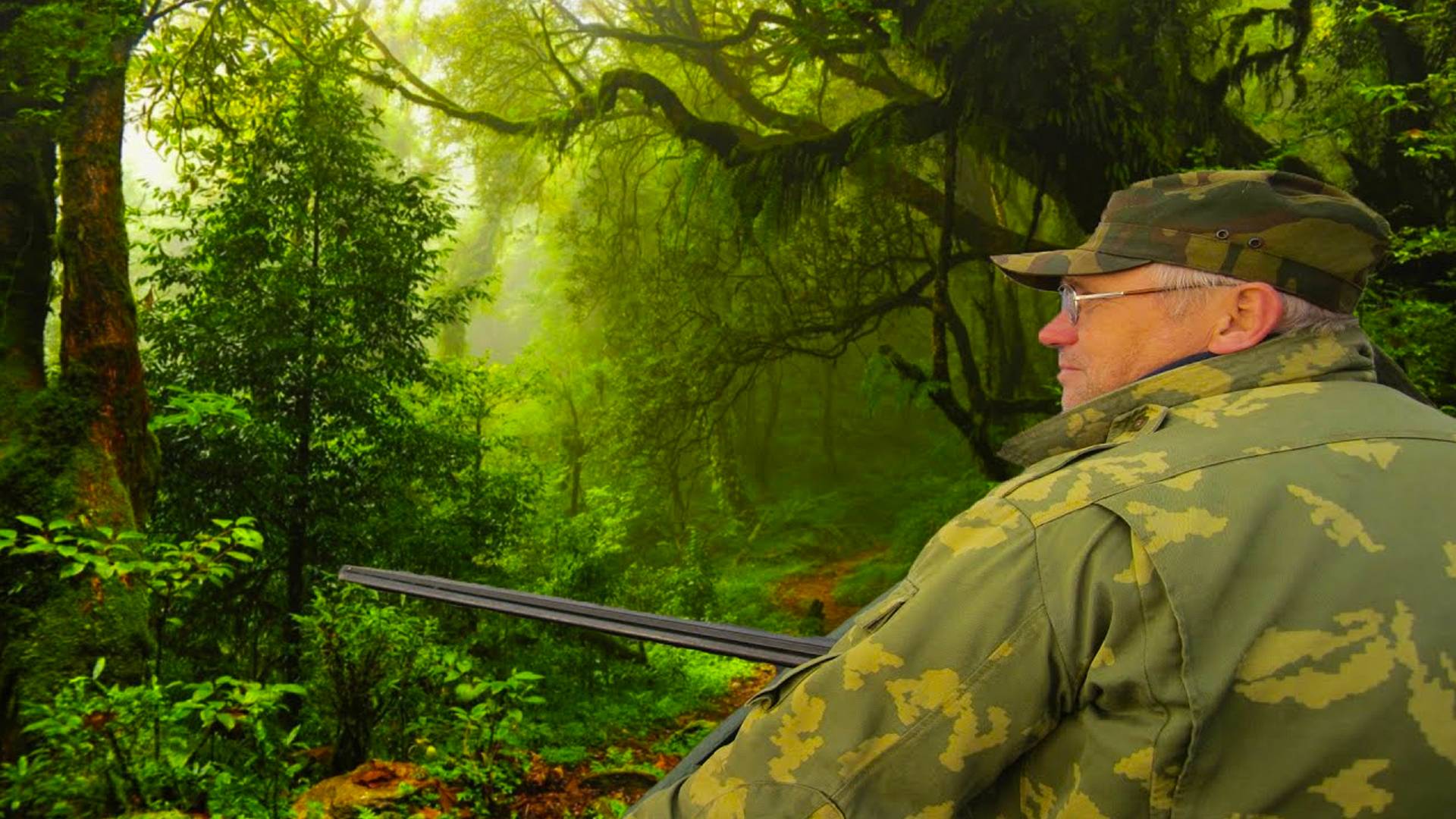 Путешествие на остров Голец (1995 год) смотреть онлайн