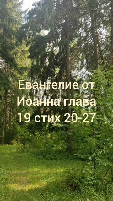 (79) Евангелие от Иоанна глава 19 стих 20-27 смотреть онлайн