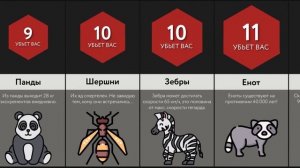 Сколько Животных Убьёт Вас