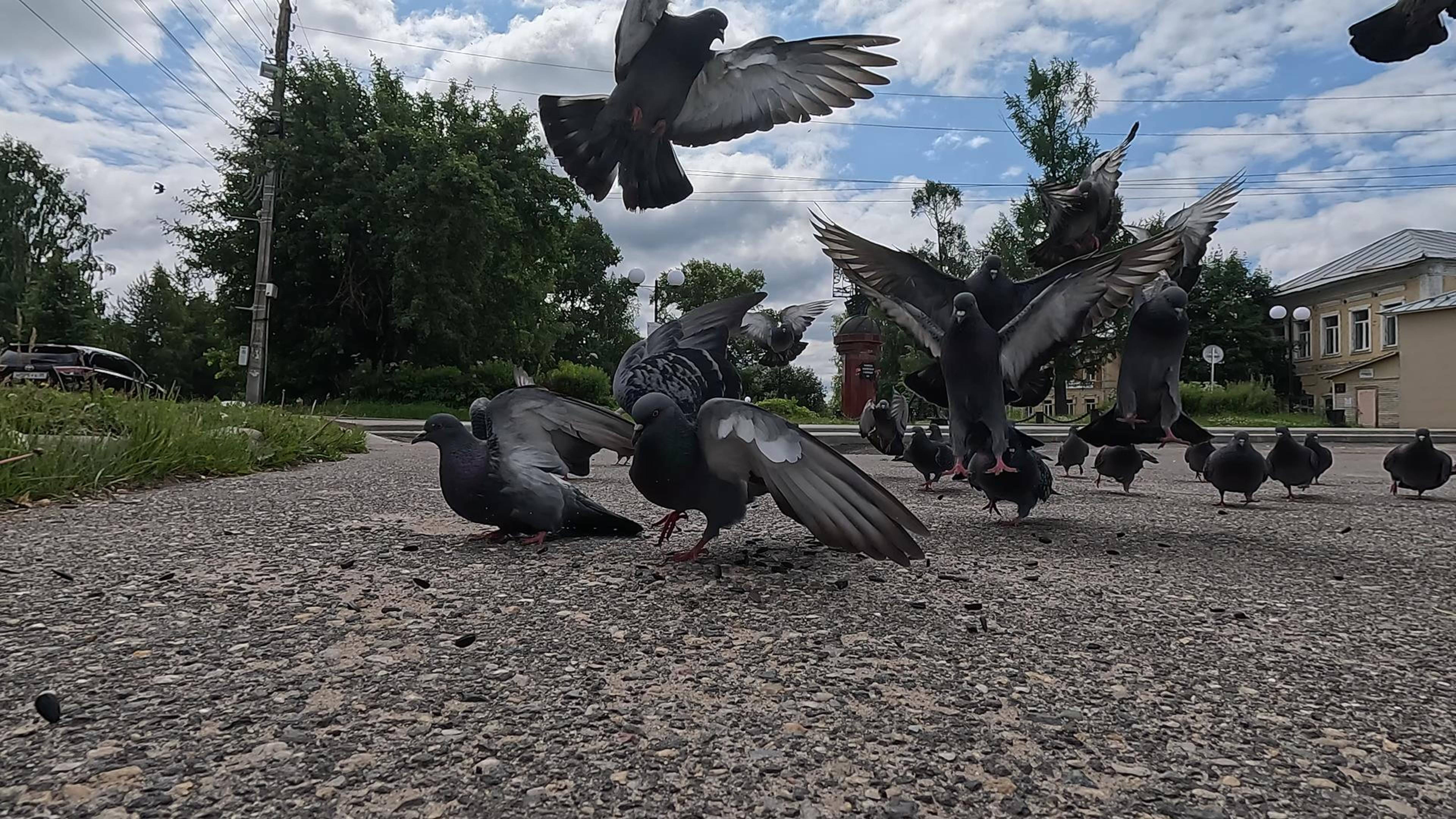 Всем привет и хорошего дня смотреть онлайн