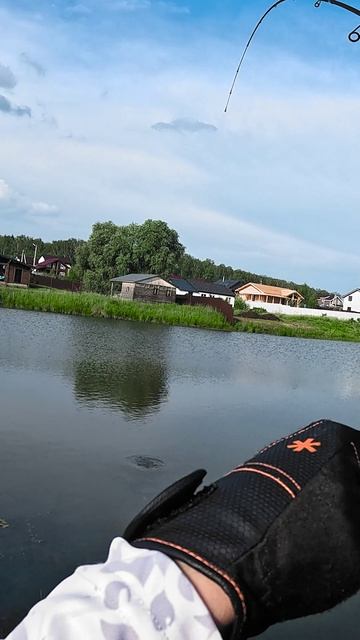 Трюки мелкого задорного шнурка