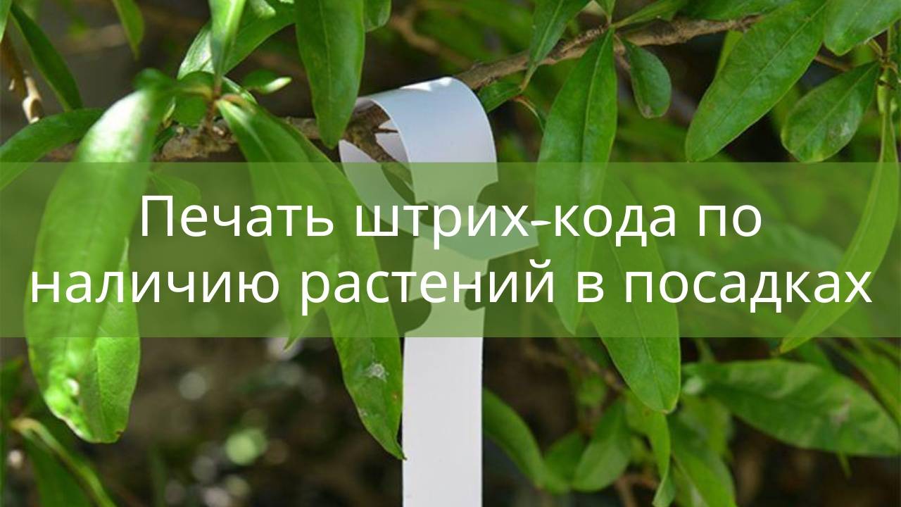 Печать ШК участков и растений в посадках