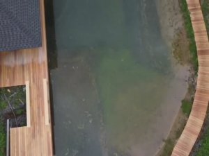 Строительство пруда. В самом сыром месте участка.