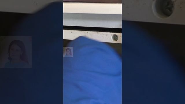 Как отмыть лоток стиральной машины? #стиралка смотреть онлайн