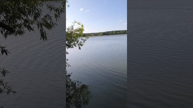 Прикормочный кораблик D80B тест на воде смотреть онлайн