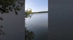 Прикормочный кораблик D80B тест на воде