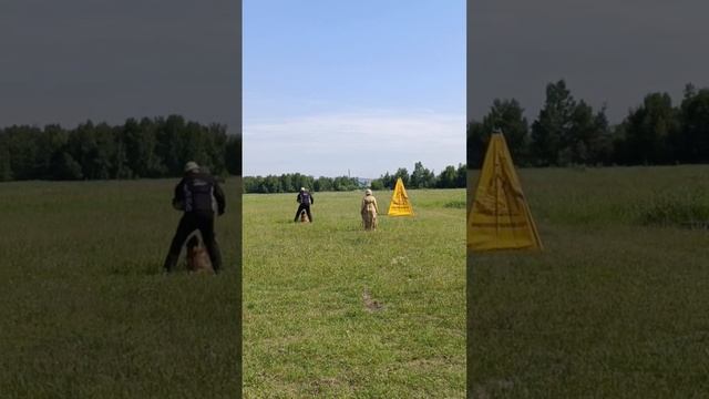 EDGAR-H v. Aducht - №7. КЧК ИРКУТСК 21 июня`25 А.Буйнова Моно н/о