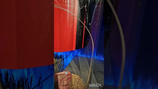 Выставка "Путешествие по России " часть 3 смотреть онлайн