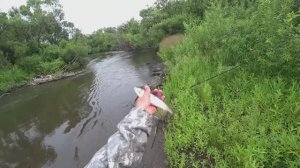 Рыбалка на ХАРИУСА в 10 км от ГОРОДА#попал на клёв ХАРИУСА#ловля Хариуса на УДОЧКУ!!!