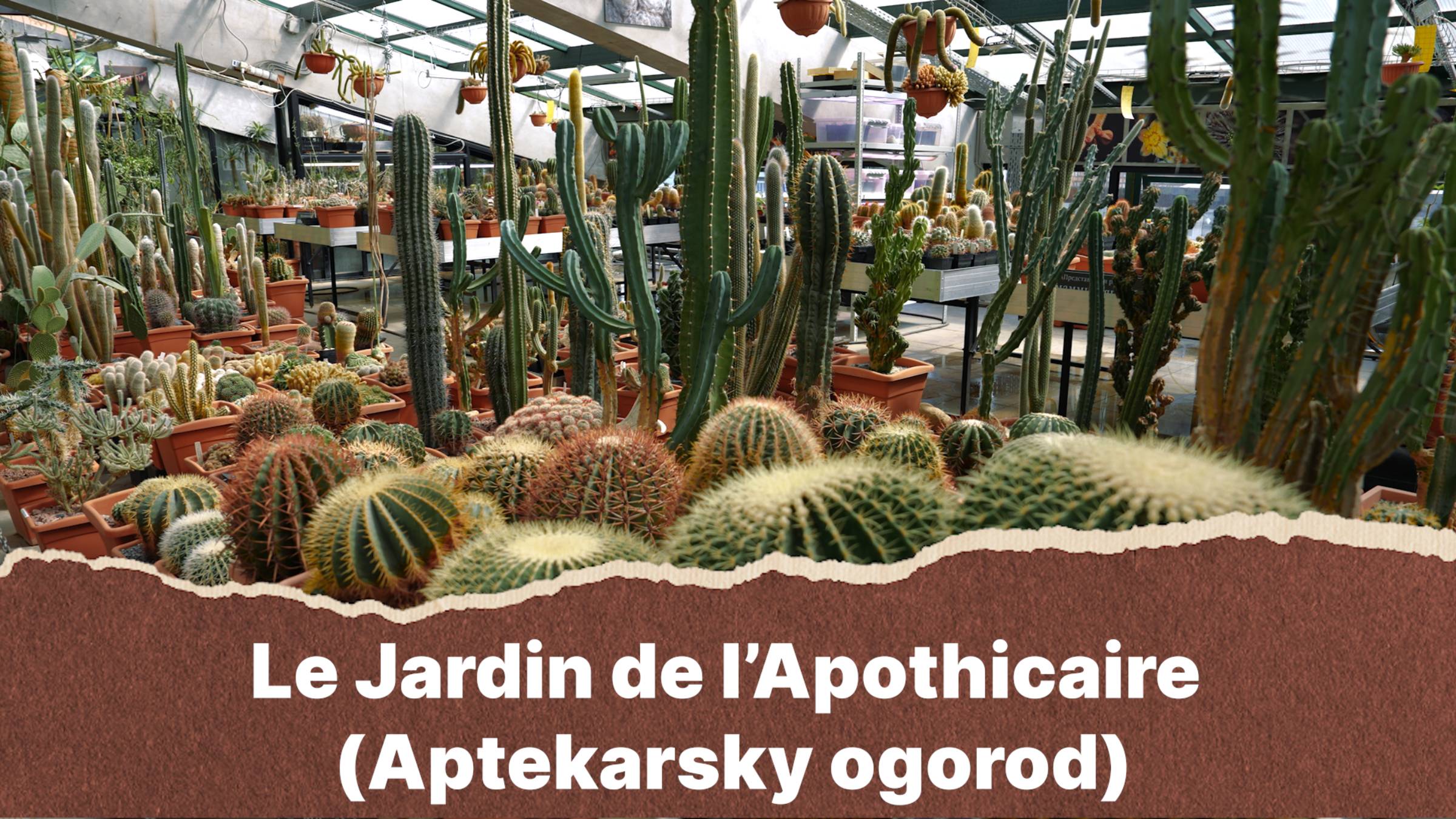 Le Jardin De L’Apothicaire (Aptekarsky Ogorod)
