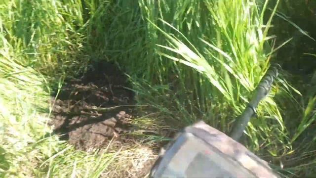 Ищу монеты на месте старой деревни. Коп монет 2024. Minelab. смотреть онлайн