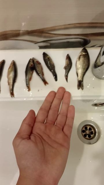 улов смотреть онлайн