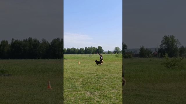 ЧЕРРИ из Звёздной Линии - №36. КЧК ИРКУТСК 21 июня`25 А.Буйнова Моно н/о