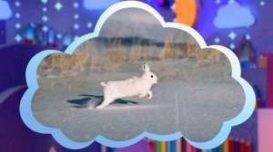 ✨Спокойной ночи, малыши✨097/2025 Поиграем в прятки