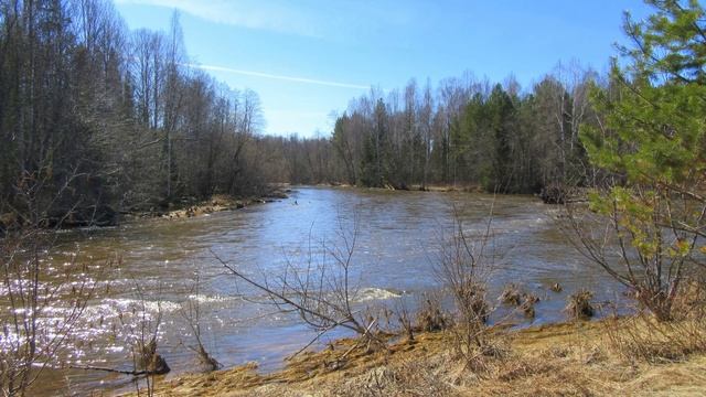 2020-05-04 За Ст. Бокситы смотреть онлайн