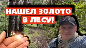 НАШЕЛ ЗОЛОТО В ЛЕСУ!