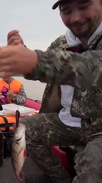 Огромный окунь на LureMax JOKER смотреть онлайн