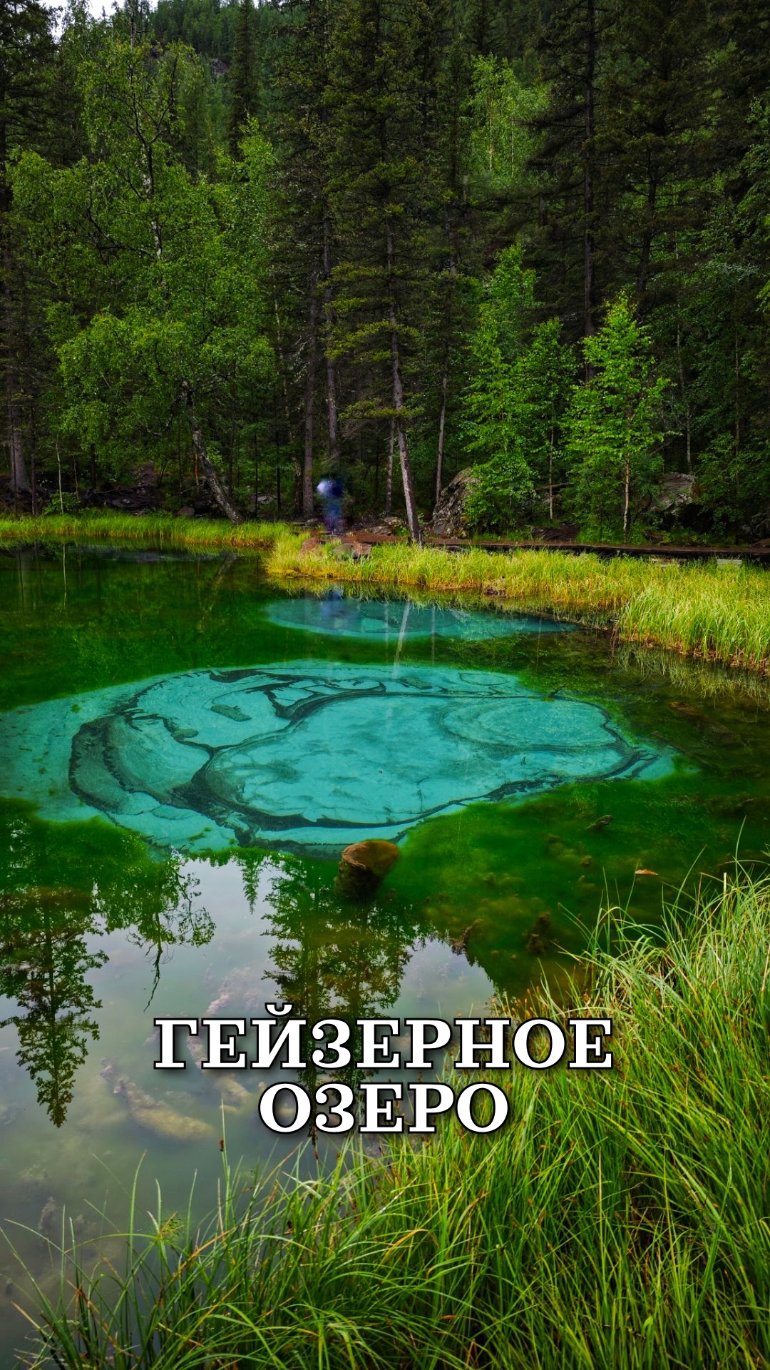 Гейзерное озеро Республика Алтай июнь 2025 смотреть онлайн
