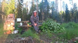 Медведь побывал на избе. Добавил соль на солонец. Кучум знакомится с природой