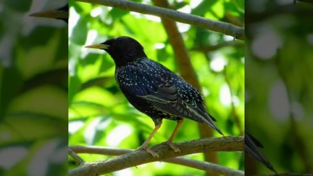 Это интересно-17