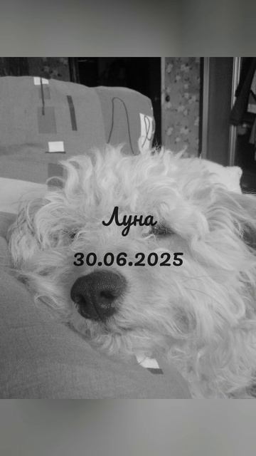 Она умерла прямо у меня на глазах...