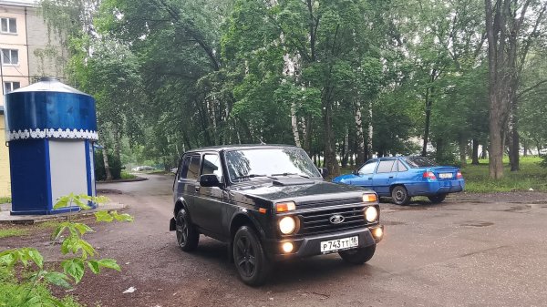 Летние выходные. Работа и отдых.