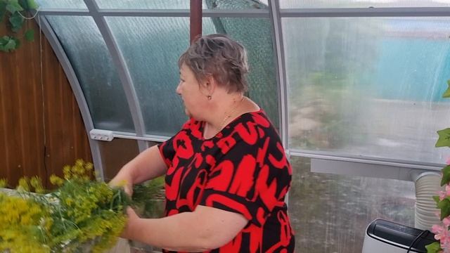 Понедельник, хорошего начало недели! смотреть онлайн