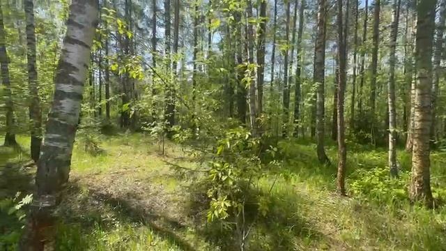 ЗУ :1000 д. Поварово смотреть онлайн
