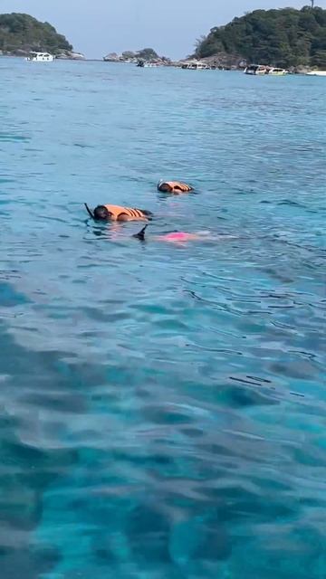 #тайланд2024 #Пхукет #Симиланскиеострова