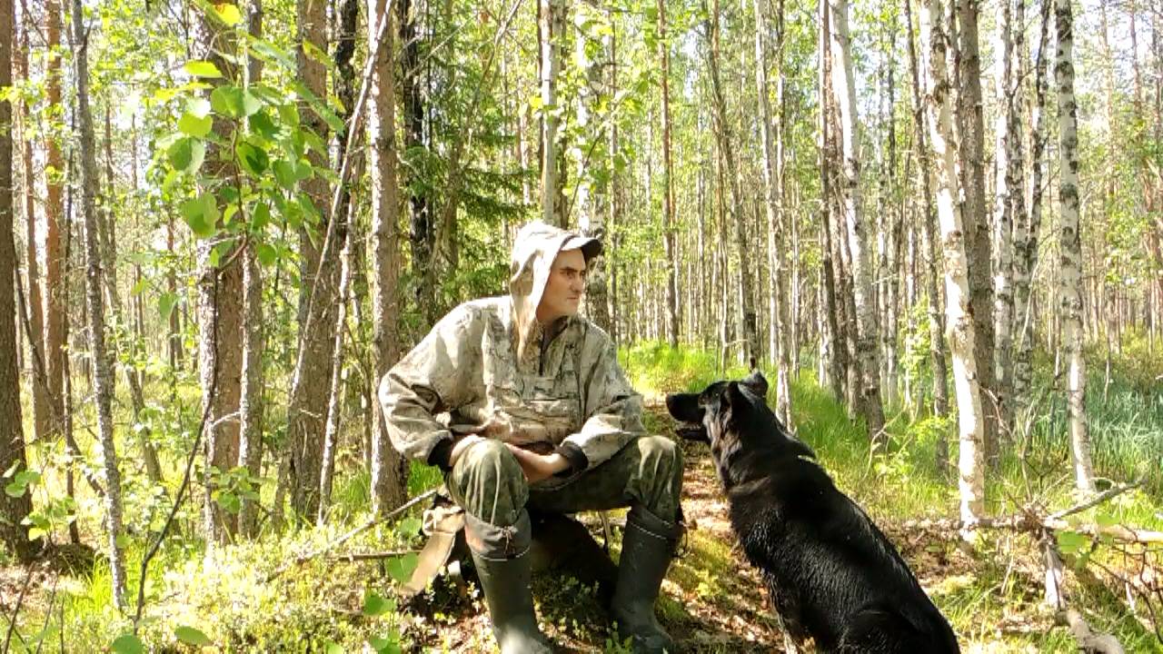 Тропами по канавам и первые грибы