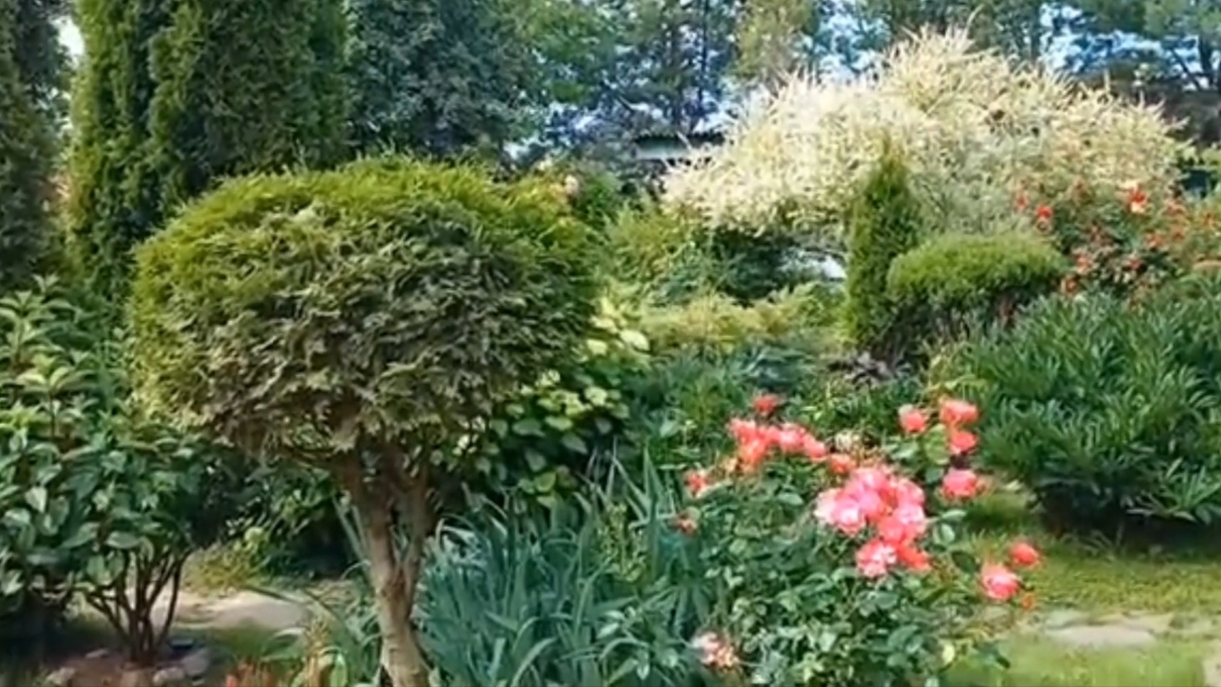 В гостях в сказочном саду. 28-06-2025 смотреть онлайн