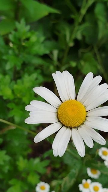 После дождя смотреть онлайн