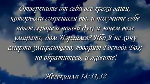 20. Господь смотрит на сердце - Стивен Уоллас