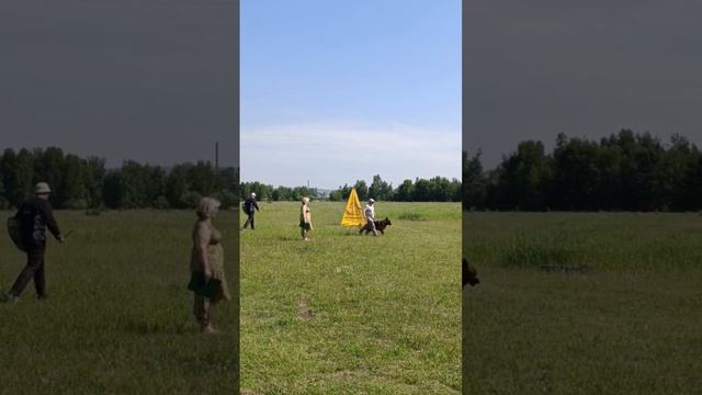 Grosefohnon EROS - №8. КЧК ИРКУТСК 21 июня`25 А.Буйнова Моно н/о