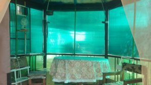 801. Дача снт Липовая Грива, д. Васютино, Московской обл.