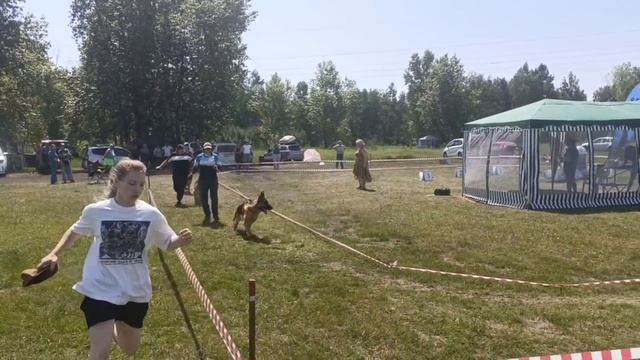 МОЛОДЫЕ КОБЕЛИ / КЧК ИРКУТСК 21 июня`25 А.Буйнова Моно немецких овчарок