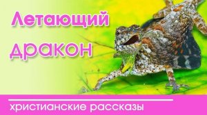 Летающий дракон - ИНТЕРЕСНЫЙ ХРИСТИАНСКИЙ РАССКАЗ | Христианские рассказы о живой природе