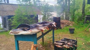 Живём Неделю в Лесу. Рыбалка на Сети, самоловки, спиннинг. Коптим пойманную рыбу.