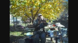 Грибы ! Лесная ВЕШЕНКА. Способ приготовления . Наш УЖИН