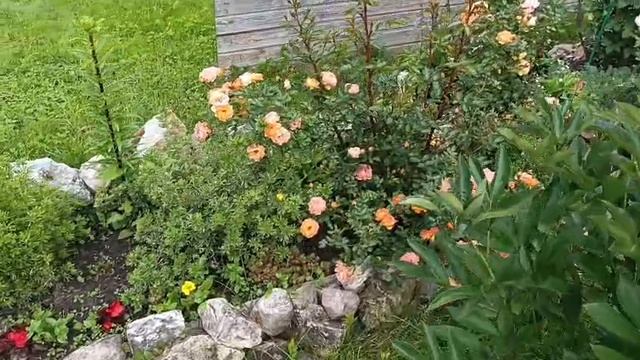 VID-20250628-WA0000 смотреть онлайн