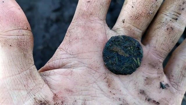 ТАКИЕ НАХОДКИ ВСЕГДА РАДУЮТ!!! ПРЯГА РККА !!! СЕРЕБРО!!! Коп с Minelab X-Terra 705!!! смотреть онлайн