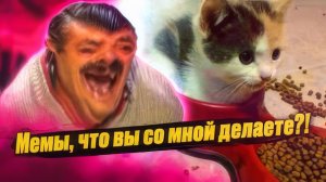 Мемы, что вы со мной делаете? #мемы #мем #приколы #лютыеприколы #хахашечная
