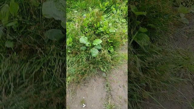 Рыбалка для души