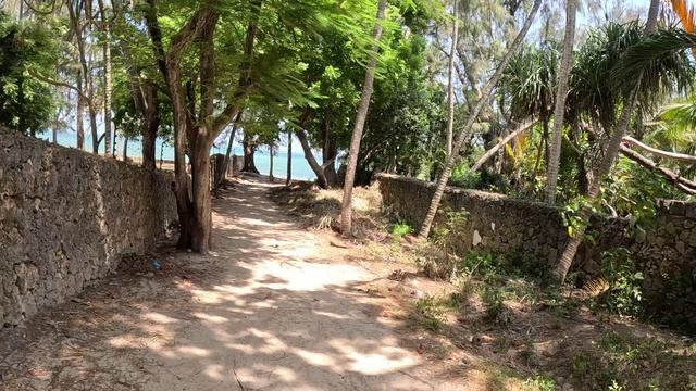 Обследование Анн в Бесплатном Африканском госпитале. Посещение пляжа шанзу смотреть онлайн