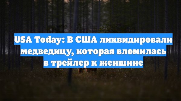 USA Today: В США ликвидировали медведицу, которая вломилась в трейлер к женщине